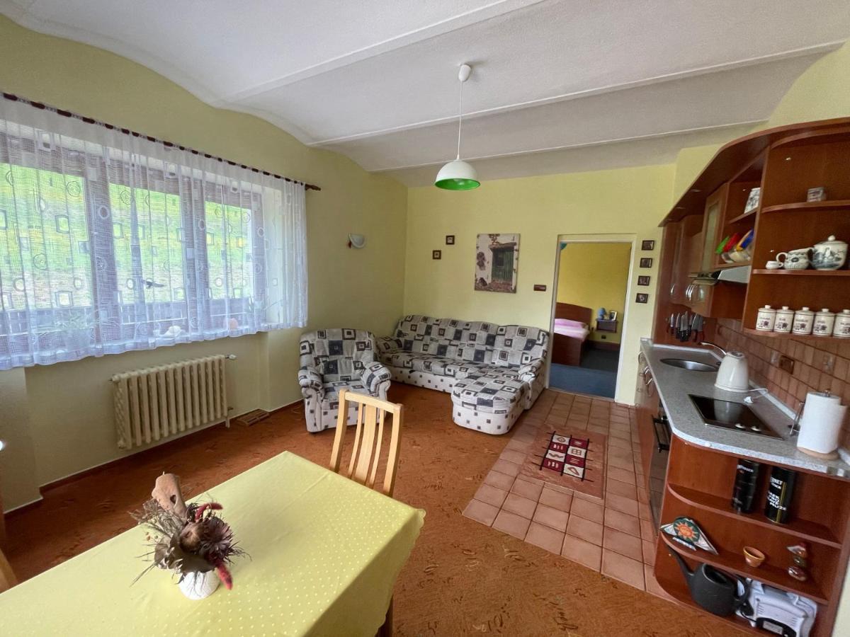Ubytovani V Krkonosich, Rodinny Apartman Peklicko Horni Lanov Экстерьер фото